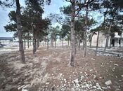 Продаётся  участок 144 сот, пос. Мардакан, photo 8 from 8