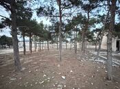 Продаётся  участок 144 сот, пос. Мардакан, photo 2 from 8