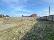 Продаётся  участок 130 сот, пос. Шувеляны, photo 4 from 4