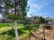 5 otaqlı həyət evi/bağ evi - Şüvəlan q. - 400 m²