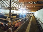 Продаётся 2-комн. дом/дача 70 м², photo 5 from 8