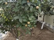 Satılır 2 otaqlı həyət evi/bağ evi 36 m², Əhmədli m., photo 3 from 8