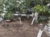 Satılır 2 otaqlı həyət evi/bağ evi 36 m², Əhmədli m., photo 4 from 8