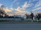 Сдаётся  объект 9 000 м², photo 4 from 8