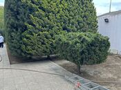 Продаётся 5-комн. дом/дача 240 м², пос. Мардакан, photo 4 from 8