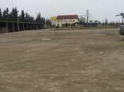 Satılır  torpaq 70 sot, Astara r., photo 3 from 6