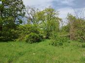 Продаётся  участок 27 сот, photo 3 from 5