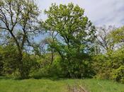 Продаётся  участок 27 сот, photo 2 from 5