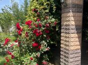 Satılır  torpaq 20 sot, Bilgəh q., photo 7 from 8