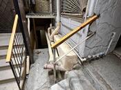 İcarəyə verilir  obyekt 20 m², Sahil m., photo 4 from 8