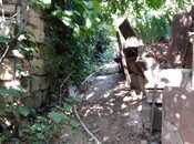 Satılır  torpaq 4.9 sot, Avtovağzal m., photo 3 from 8