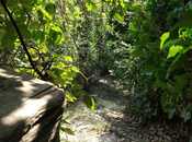 Satılır  torpaq 4.9 sot, Avtovağzal m., photo 5 from 8