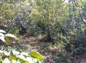 Satılır  torpaq 4.9 sot, Avtovağzal m., photo 2 from 8