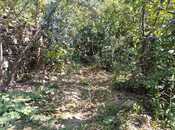 Satılır  torpaq 4.9 sot, Avtovağzal m., photo 6 from 8