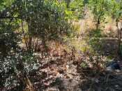 Satılır  torpaq 4.9 sot, Avtovağzal m., photo 8 from 8