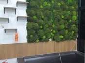 Продаётся  объект 68 м², м. Иншаатчылар, photo 6 from 8