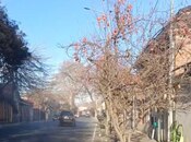 Продаётся  участок 3 сот, photo 2 from 3