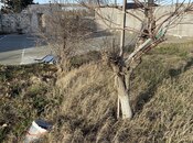 Satılır  torpaq 5 sot, Albalılıq q., photo 4 from 7