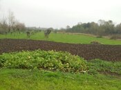 Satılır  torpaq 50 sot, Astara r., photo 7 from 8