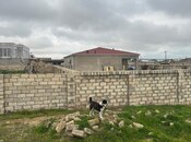 Elan №5828255 - Bakı, Bilgəh q., 12 sot