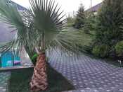 Сдаётся 3-комн. дом/дача 120 м², пос. Мардакан, photo 5 from 8