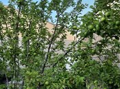 Сдаётся 3-комн. дом/дача 120 м², пос. Мардакан, photo 7 from 8