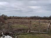 Satılır  obyekt 400 m², photo 7 from 8