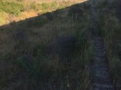 Продаётся  участок 3 сот, пос. Мамедли, photo 5 from 5