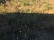 Продаётся  участок 3 сот, пос. Мамедли, photo 4 from 5