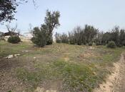 Продаётся  участок 12 сот, м. Насими, photo 4 from 6