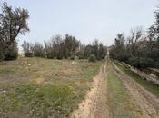 Продаётся  участок 12 сот, м. Насими, photo 5 from 6