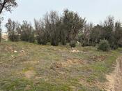 Продаётся  участок 12 сот, м. Насими, photo 3 from 6