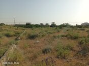 Продаётся  участок 12 сот, пос. Кюрдаханы, photo 8 from 8