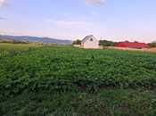 Satılır 2 otaqlı həyət evi/bağ evi 100 m², photo 8 from 8