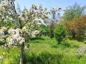 Satılır 5 otaqlı həyət evi/bağ evi 100 m², Xaçmaz r., photo 3 from 8