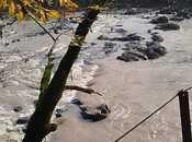 İcarəyə verilir 2 otaqlı həyət evi/bağ evi 50 m², photo 3 from 8