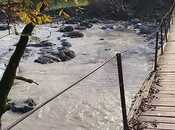 İcarəyə verilir 2 otaqlı həyət evi/bağ evi 50 m², photo 4 from 8