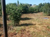 Продаётся  участок 12 сот, photo 2 from 5