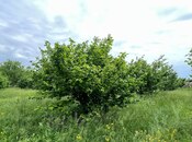 Elan №5831561 - Xudat, Xudat, 10 sot