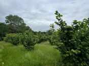 Satılır  torpaq 10 sot, photo 2 from 2