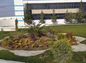 İcarəyə verilir  obyekt 1 700 m², Səngəçal q., photo 2 from 8