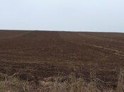 Elan №5833127 - Ağdaş, Ağdaş, 1800 sot