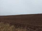 Продаётся  участок 1 800 сот, photo 2 from 2