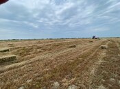 Продаётся  участок 200 сот, photo 4 from 7