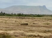 Продаётся  участок 200 сот, photo 7 from 7