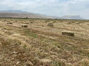 Продаётся  участок 200 сот, photo 2 from 7