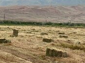 Продаётся  участок 200 сот, photo 5 from 7