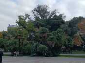 Продаётся 4-комн. новостройка 258 м², м. Сахил, photo 7 from 8