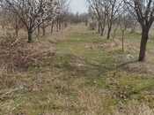 Satılır  torpaq 400 sot, photo 3 from 8