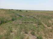 Elan №5834294 - Hacıqabul, Hacıqabul, 1428 sot